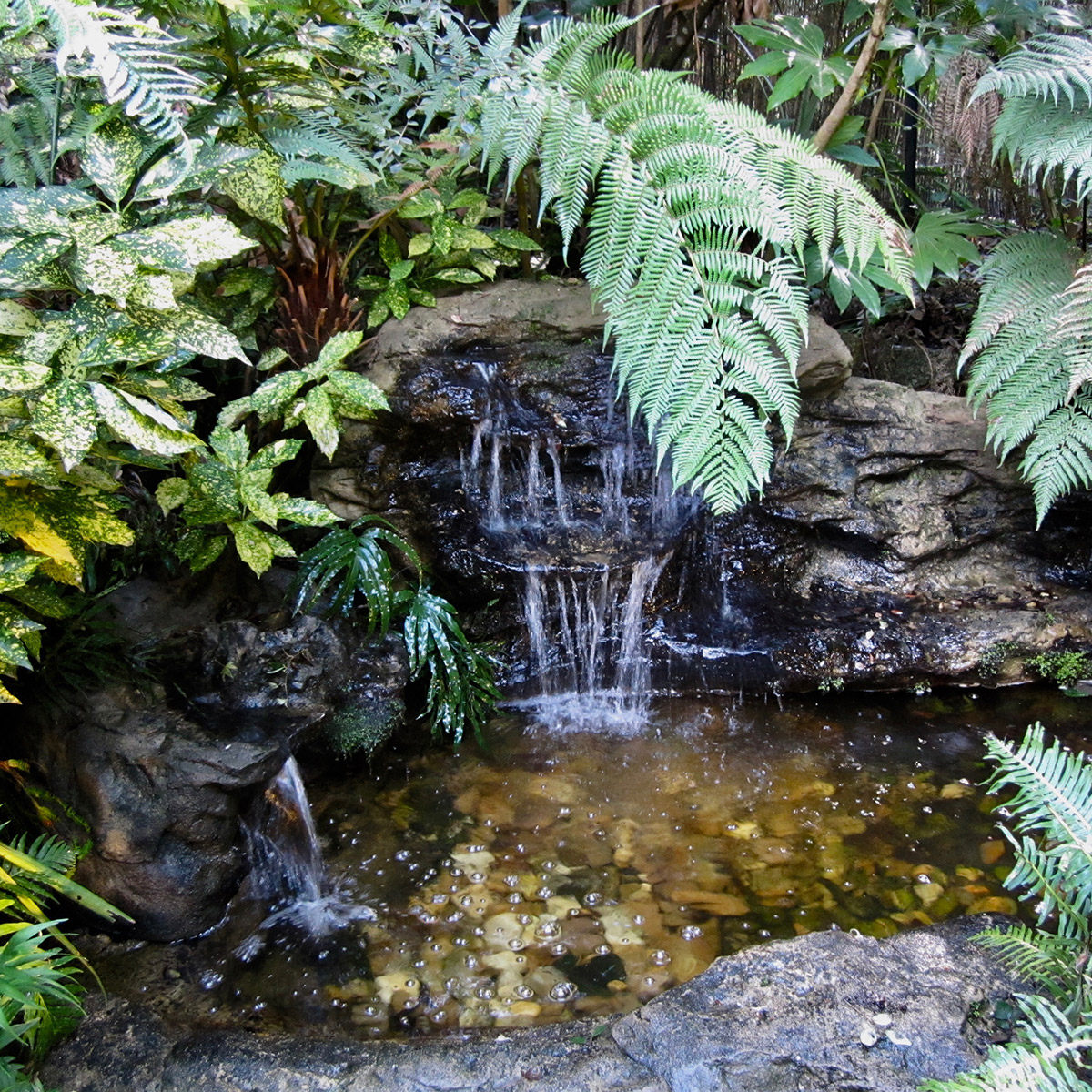 no-ordinary-garden-IMG_9843-web