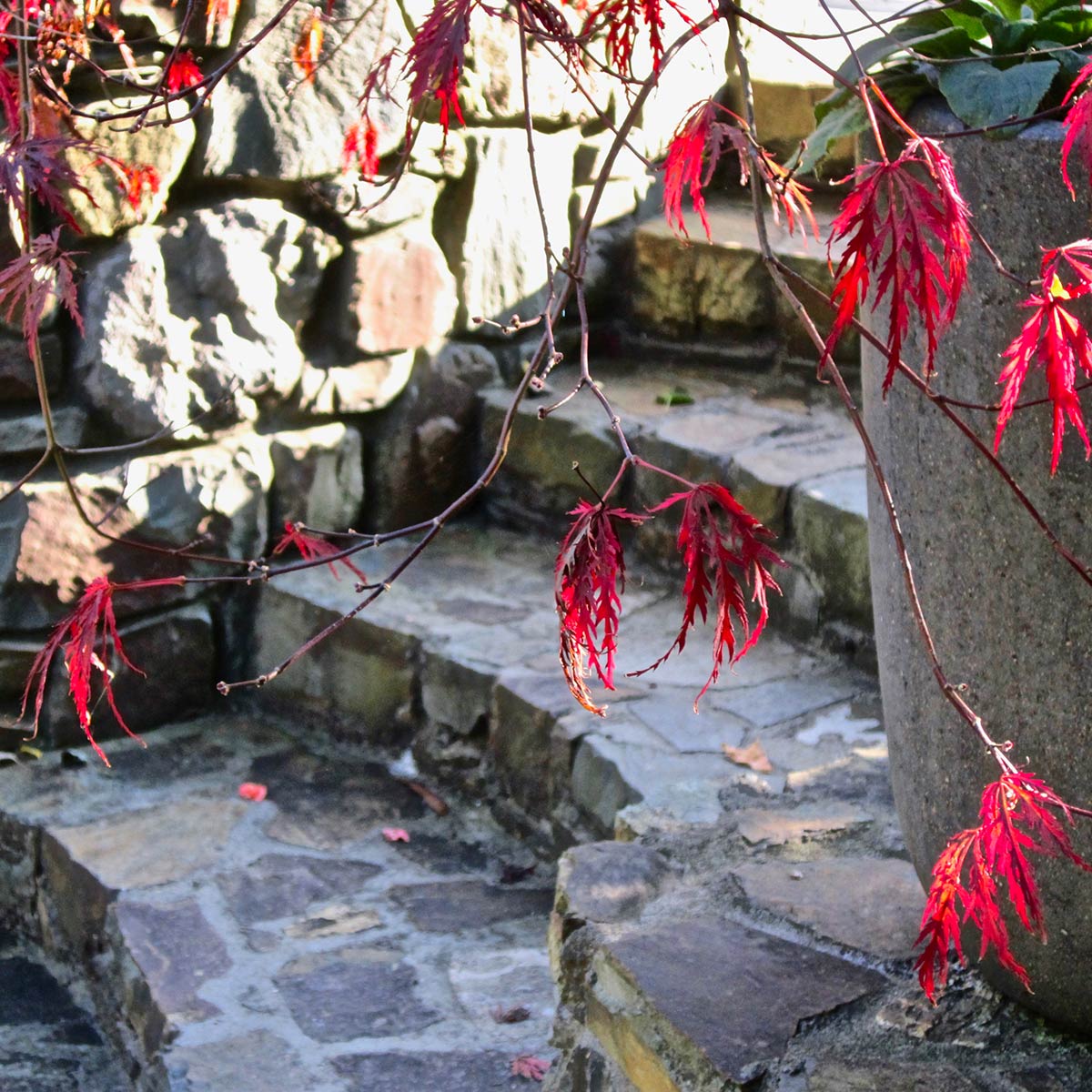no-ordinary-garden-slider-3